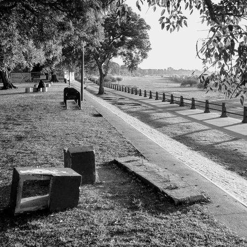 Paseo Matinal