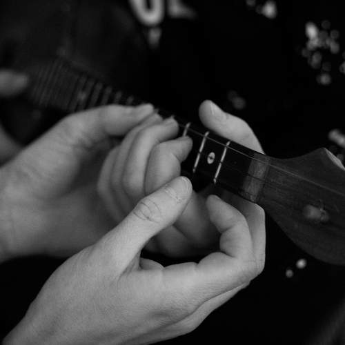 Photo #8771898