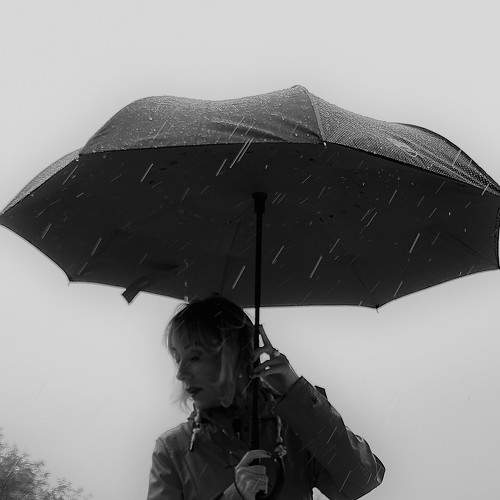Photo #8772084