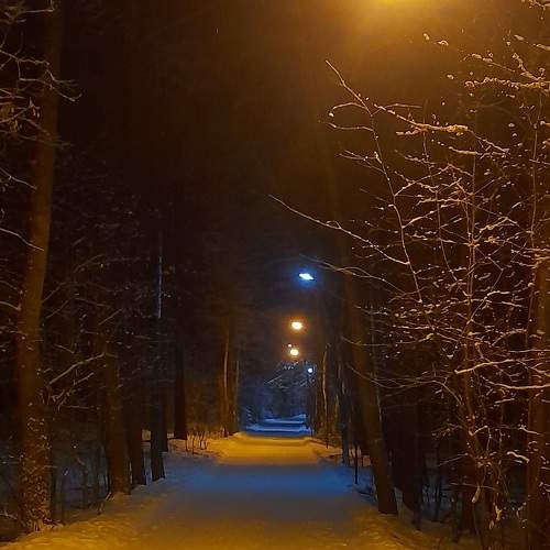 Photo #8772206
