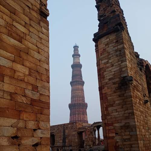 Photo #8772732