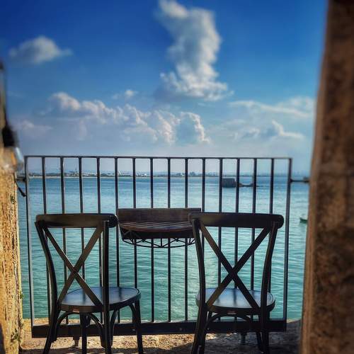 Photo #8773084
