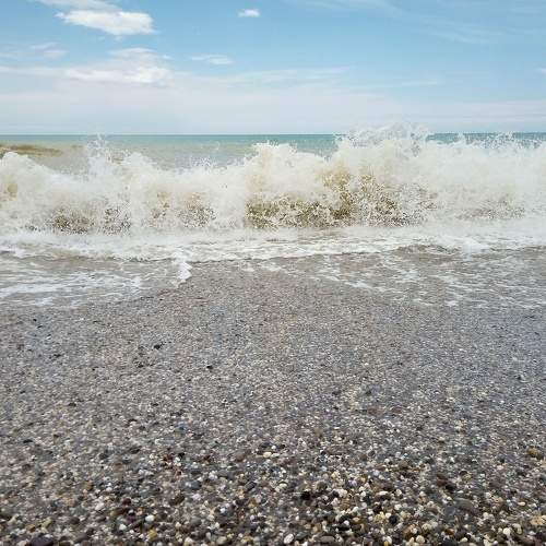 Photo #8773090
