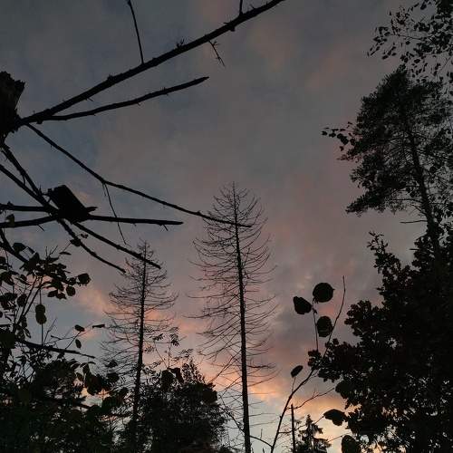 Photo #8773092