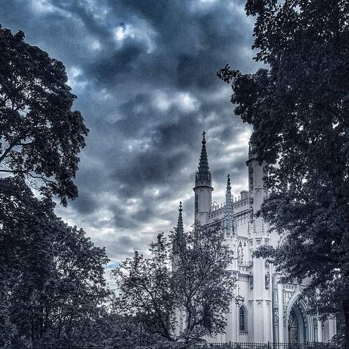 Photo #8773121