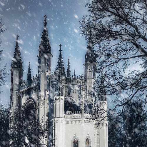 Photo #8773125
