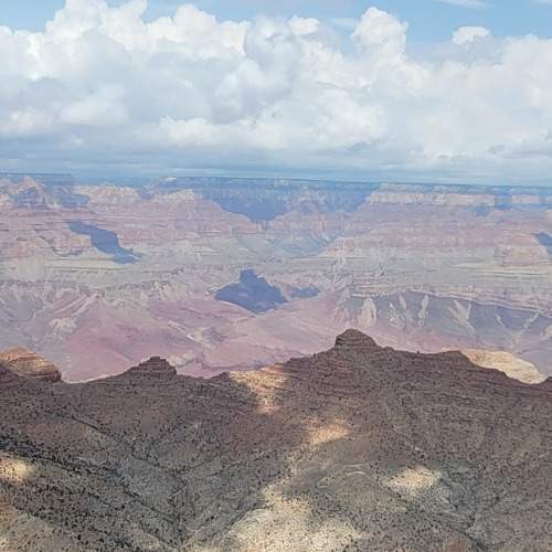 Photo #8773223