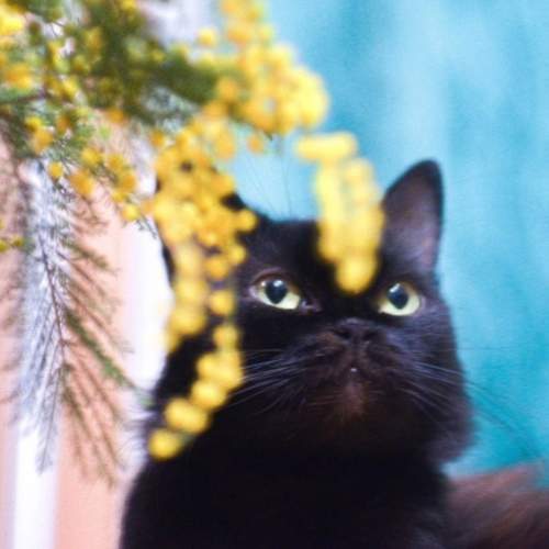 Photo #8773320