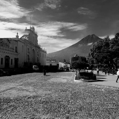 Photo #8773668