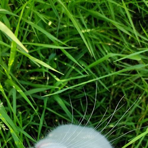 Photo #8773805