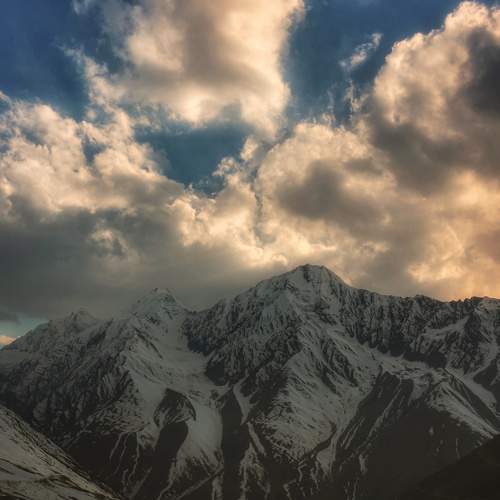 Photo #8773880