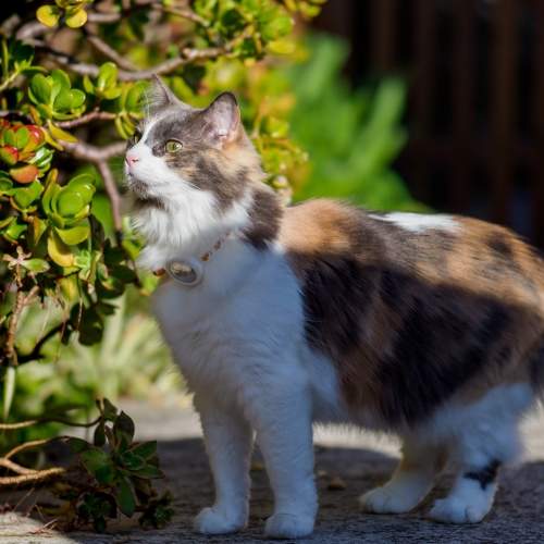 Фотография #8774006