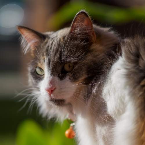 Фотография #8774007