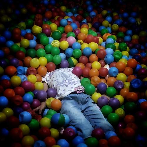 Photo #8774219