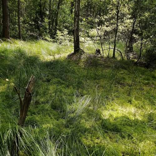 Photo #8774400