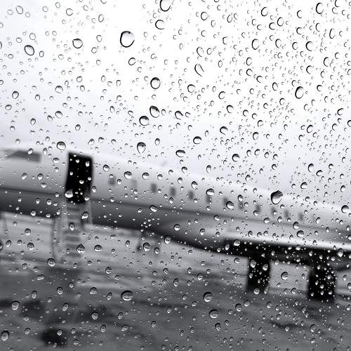 Photo #8774883