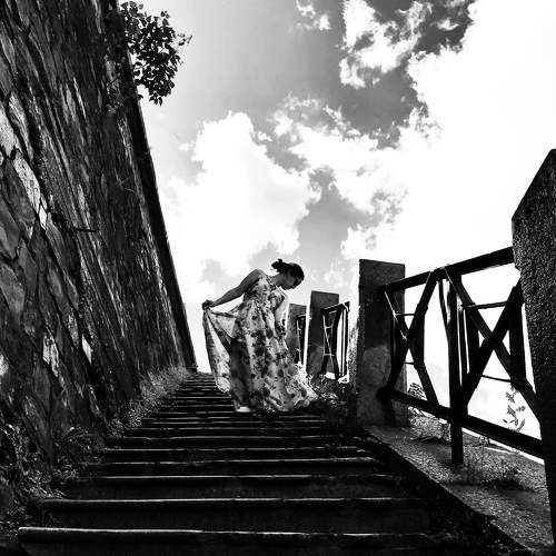 Photo #8774986