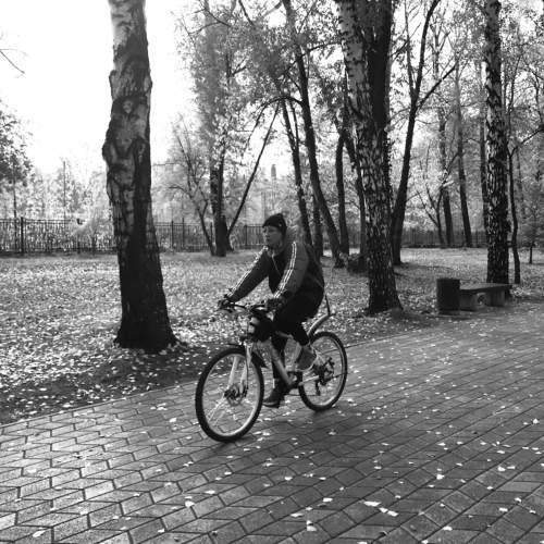 Photo #8774987