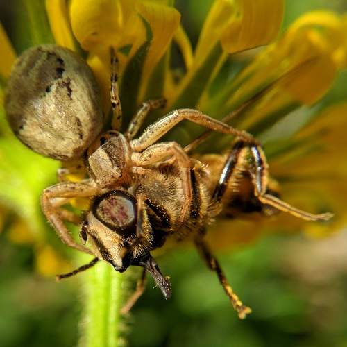 Photo #8775004