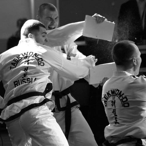 Photo #8775354