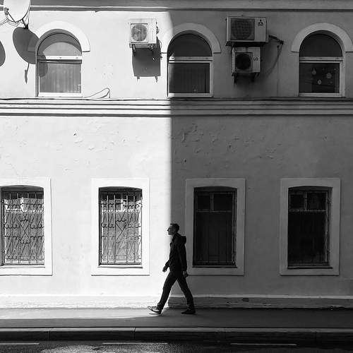 Photo #8775463