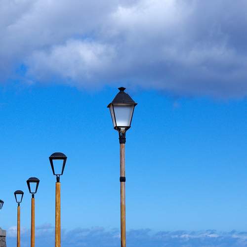 Photo #8775776