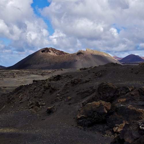 Photo #8775782