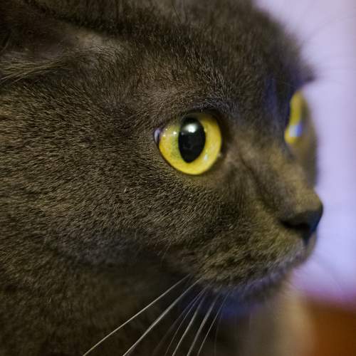 Photo #8775844