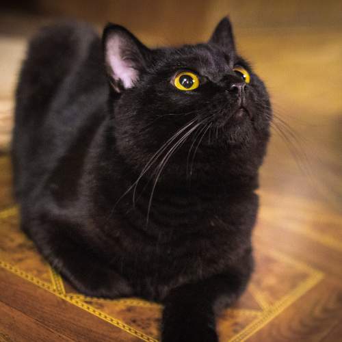 Photo #8775873