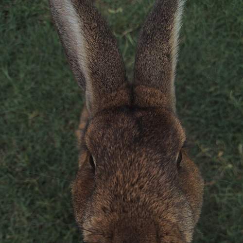 Photo #8776060