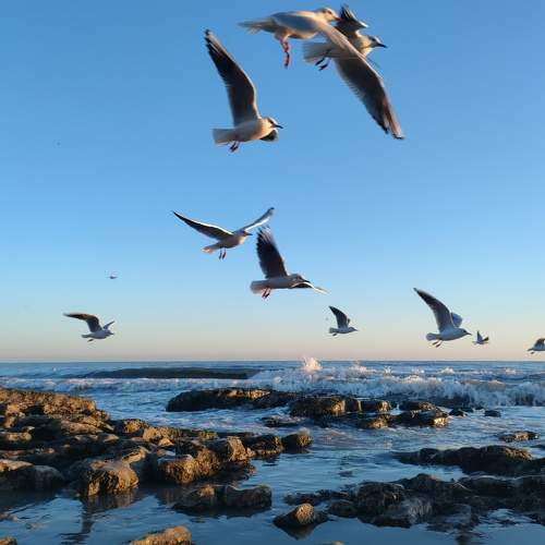 Photo #8776236