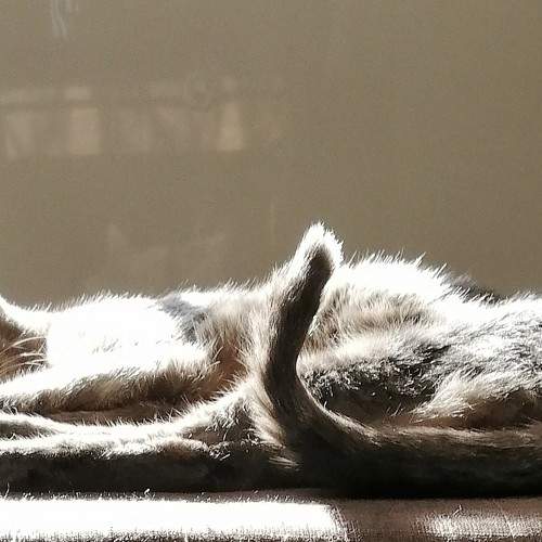 Photo #8776293