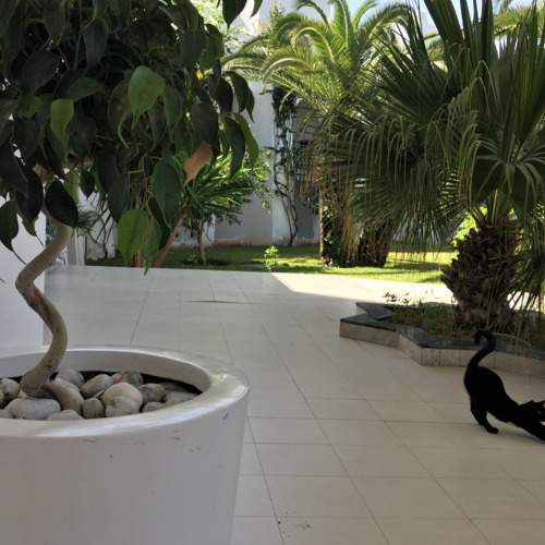 Photo #8776573