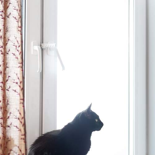 Photo #8776585