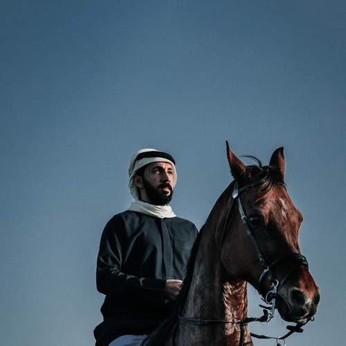 the Arabian knight