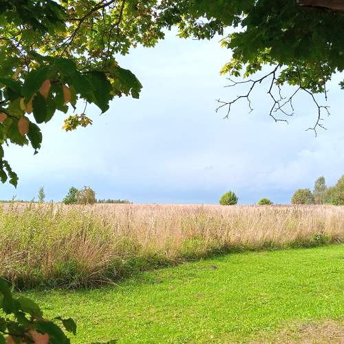Photo #8776984