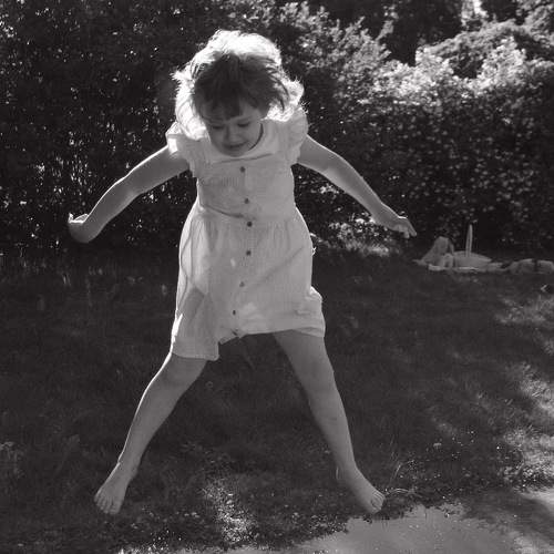 Photo #8777701
