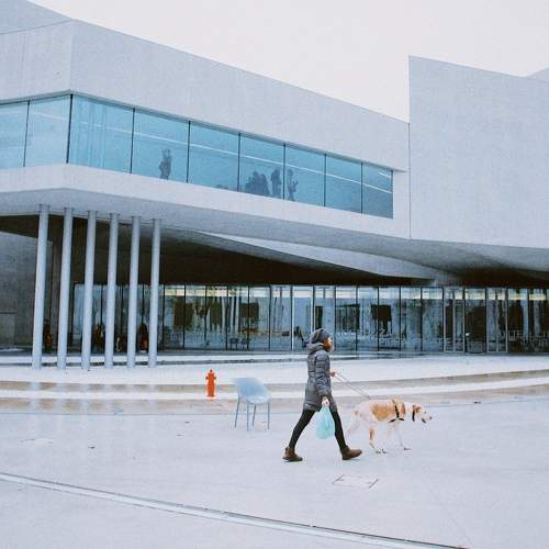 Photo #8778233