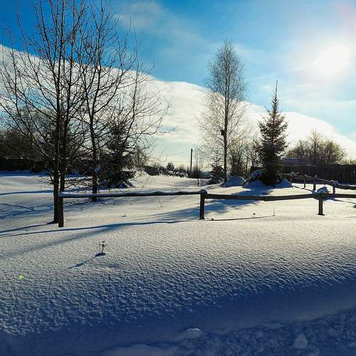 Photo #8778694