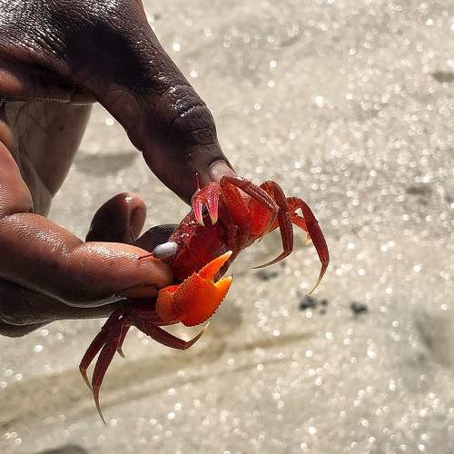 Photo #8778702
