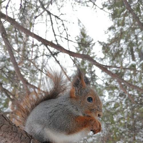 Photo #8779179
