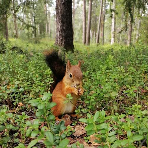 Photo #8779193