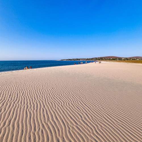Photo #8779349