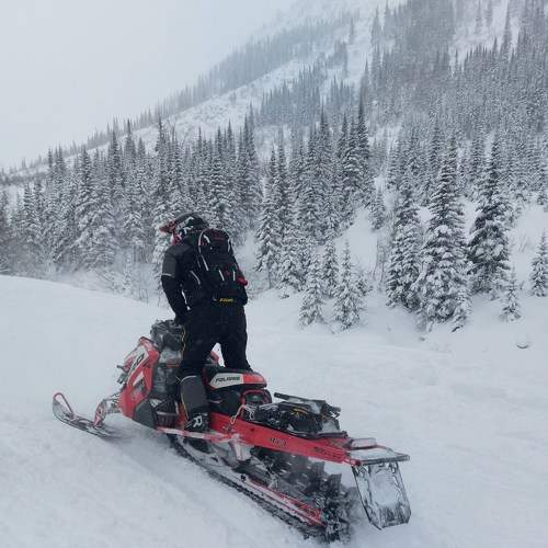 Photo #8779476