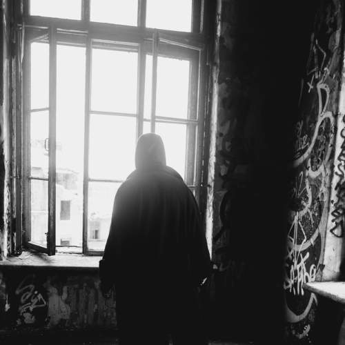 Photo #8779694