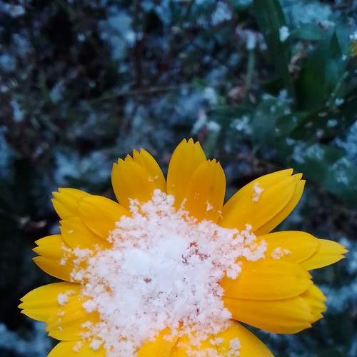 Photo #8780176