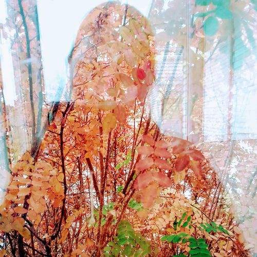 Photo #8780203
