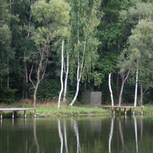 Photo #8780317