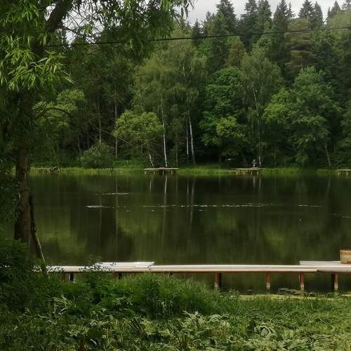 Photo #8780318