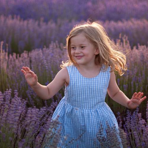 Photo #8780354